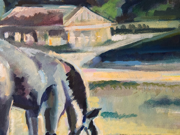 Daisy and the Bandit